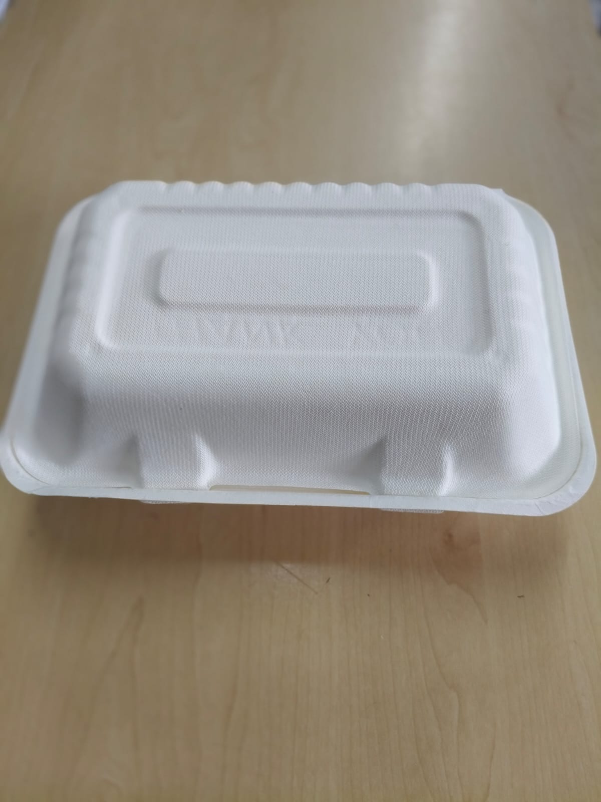 EcoServe™ Biodegradable Packaging1000 ml Meal Box (with 2 Division) | 250 in a Box
